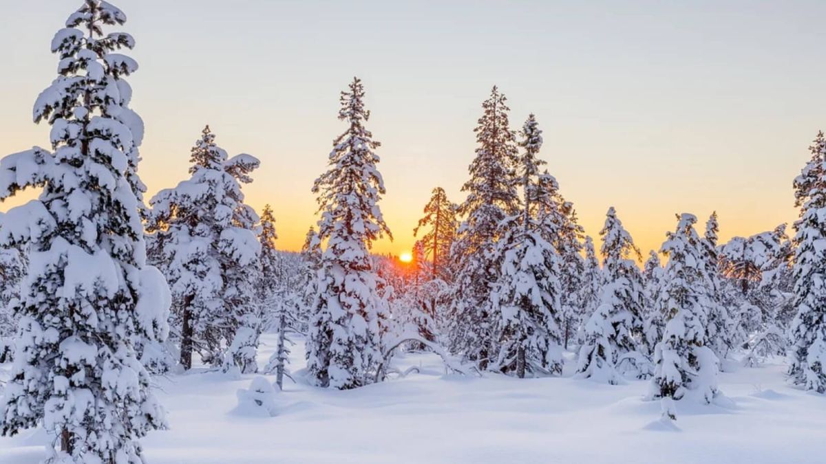 Холодная и снежная: синоптики оценили прошедшую зиму в Алтайском крае