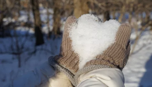 В Алтайский край пришло весеннее потепление до +5 градусов