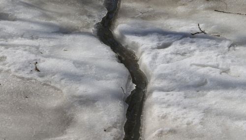 Семья с тремя детьми погибла в Приморье, провалившись под лед реки на машине
