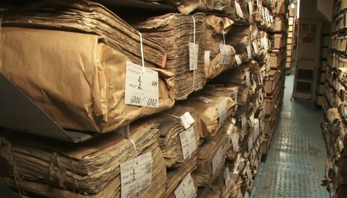 День архива: как узнать историю своих предков в Алтайском крае