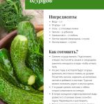 Похрустим: готовим вкусные малосольные огурцы с Толком