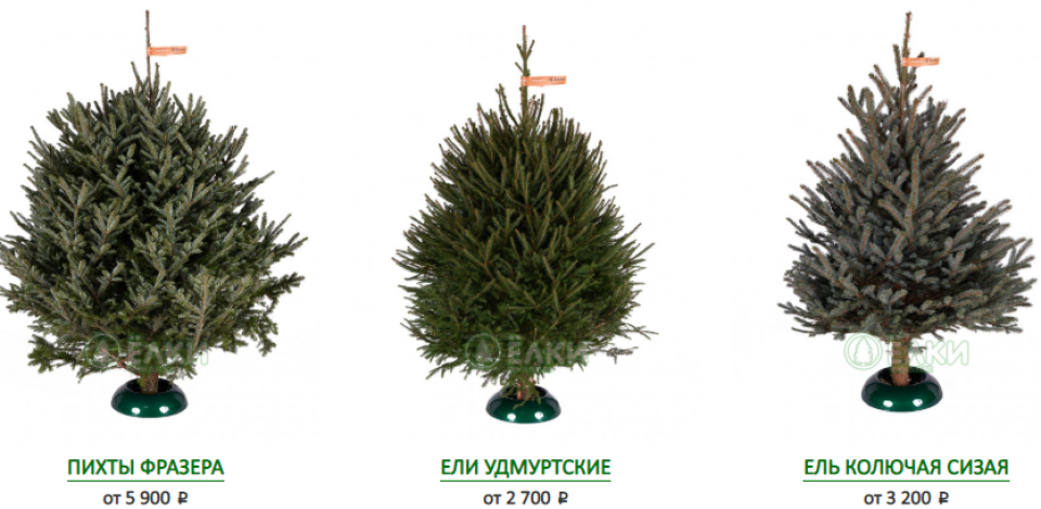 Купить Новогоднюю Елочку