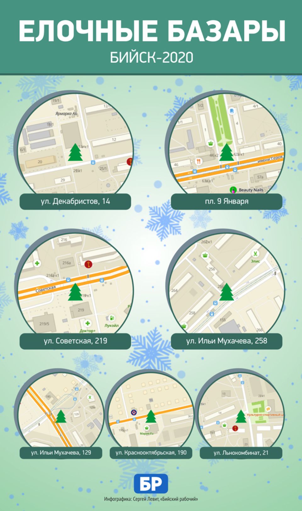 Где купить новогоднюю елку в Бийске: карта базаров
