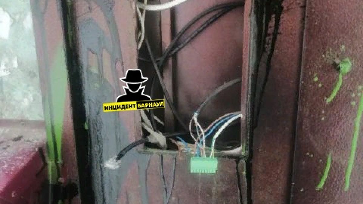 Неизвестные облили краской домофоны и стальные двери барнаульского дома