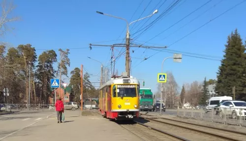 В Барнауле водитель трамвая сбила пожилого пешехода на Антона Петрова