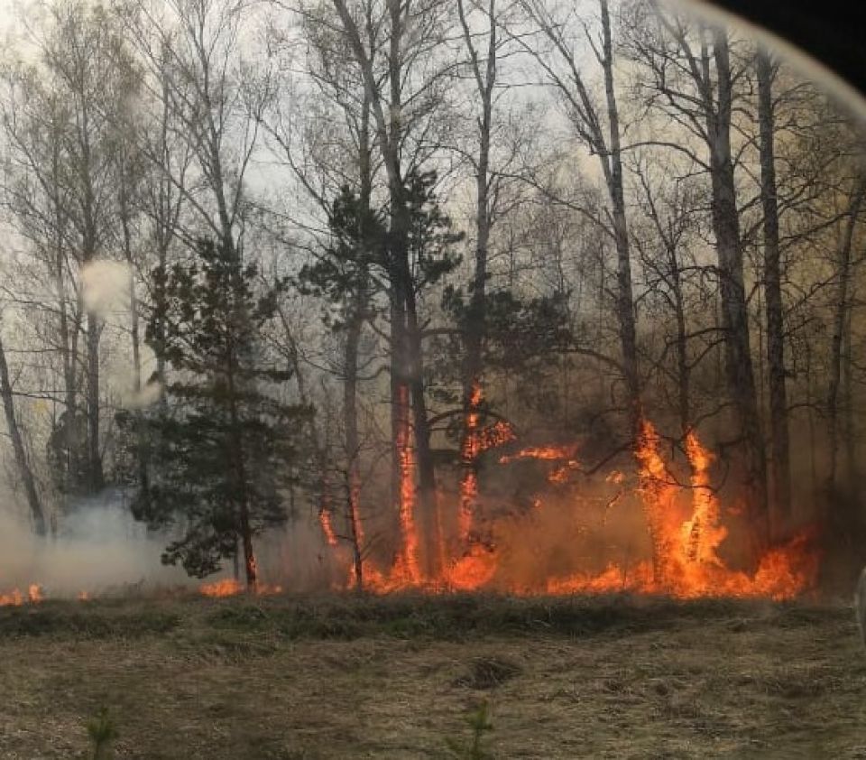 "Это похоже на конец света": пожары охватили Алтайский край