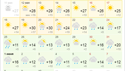 Жару до +35° и шквалистый ветер с грозами прогнозируют синоптики на Алтае