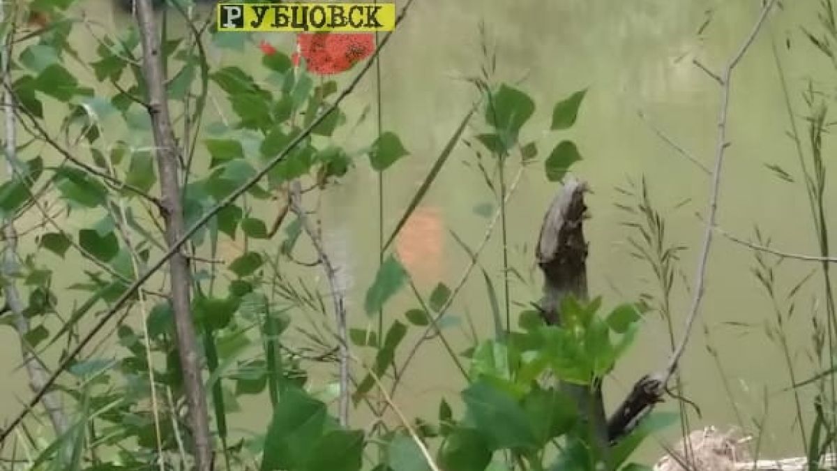 Тело утонувшей восьмилетней девочки нашли в реке Алей