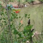 Тело утонувшей восьмилетней девочки нашли в реке Алей