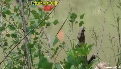Тело утонувшей восьмилетней девочки нашли в реке Алей