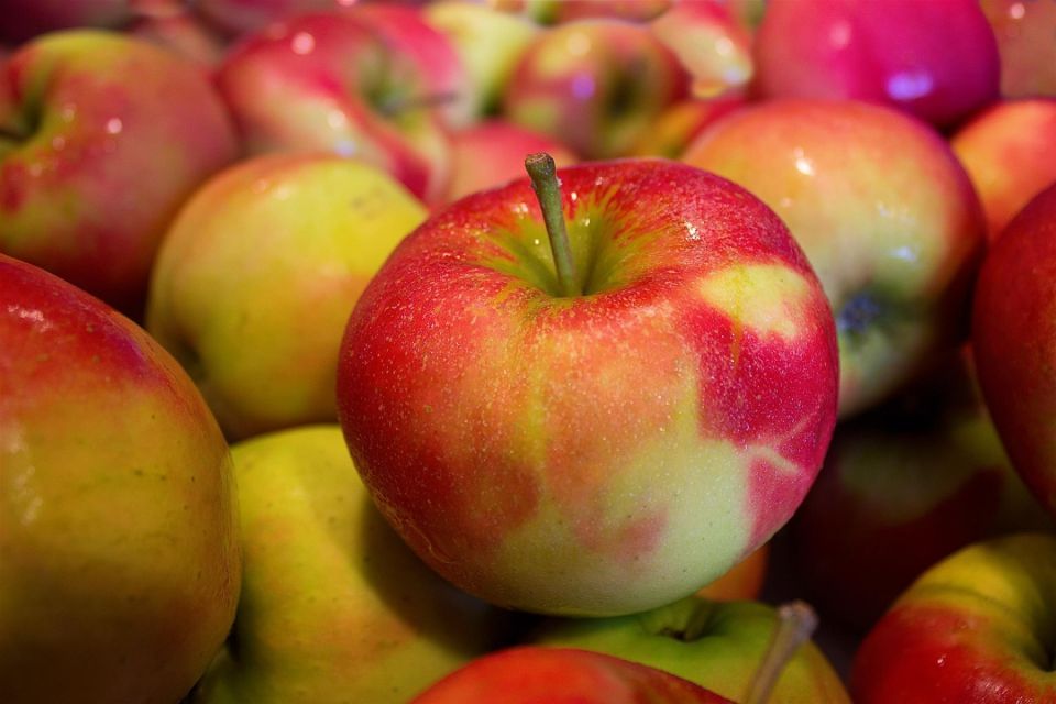 Что приготовить из помидоров, кабачков и яблок на зиму, чтобы они не испортились
