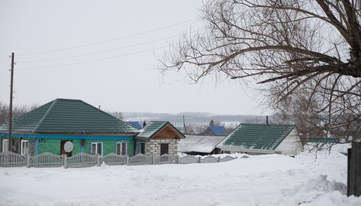 Алтайский край суетский. Колхоз Добровольский Суетский район. Залесовский муниципальный округ Алтайский край. Посёлок Октябрьский Алтайский край Суетский район. Сельсовет село.