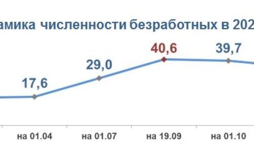 Более 20 тысяч жителей Алтайского края потеряли работу после начала пандемии