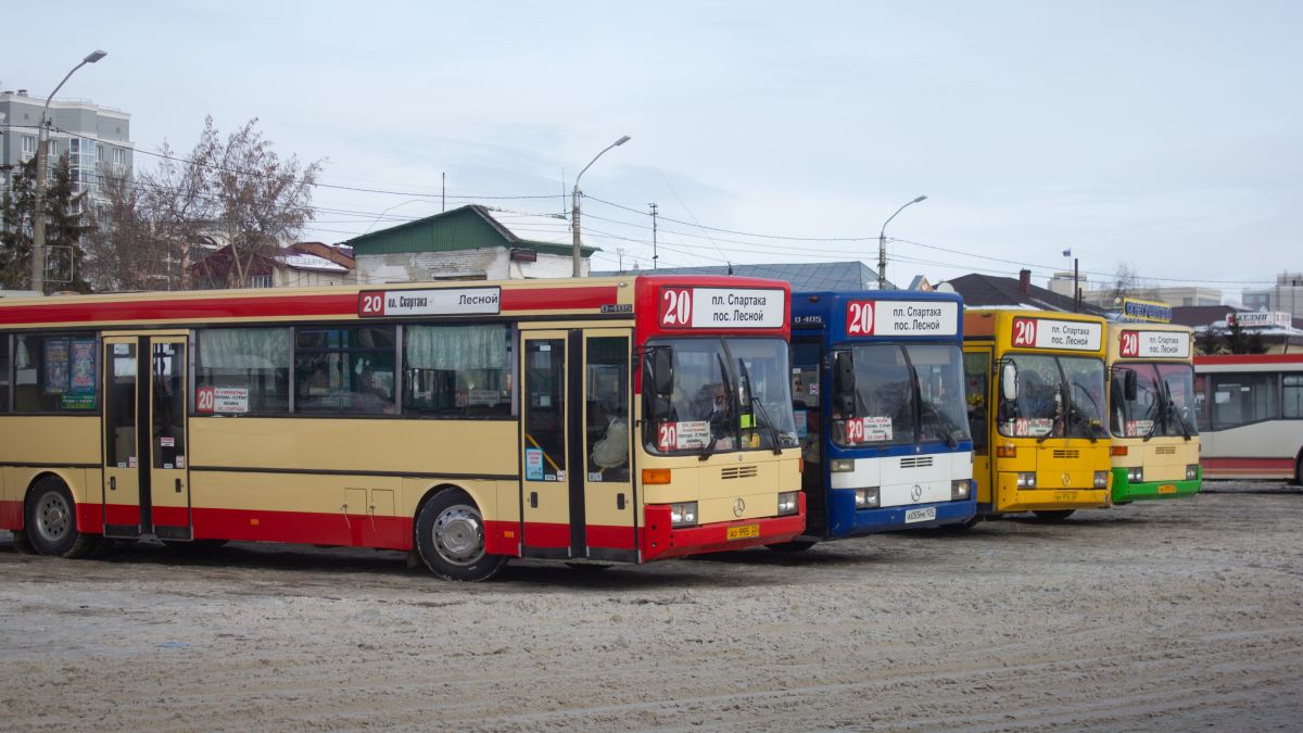 Автобусы. Общественный транспорт