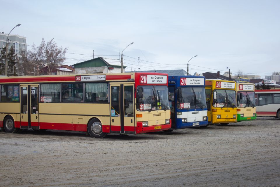 Автобусы. Общественный транспорт