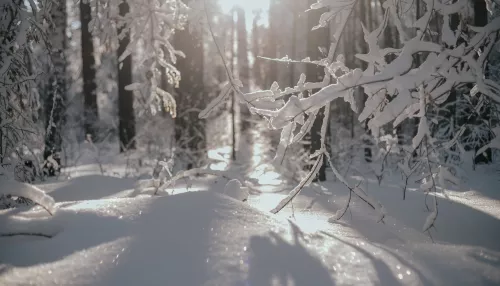 Потепление до -2 градусов нахлынет на Алтайский край в выходные