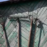 Раскрыты главные схемы обмана дачников и садоводов