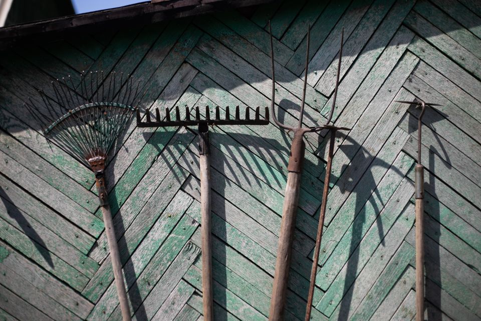 Сад. Огород