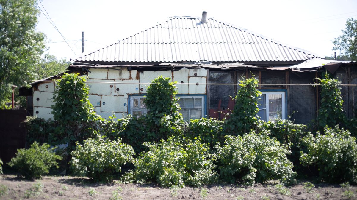 Сад. Огород