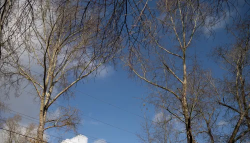 Похолодание с дождем ожидается в Алтайском крае 1 сентября