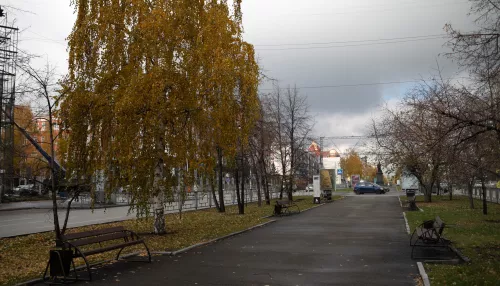 Резкое похолодание придет в Алтайский край 27 октября