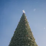 В Барнауле главную новогоднюю елку установят на площади Сахарова