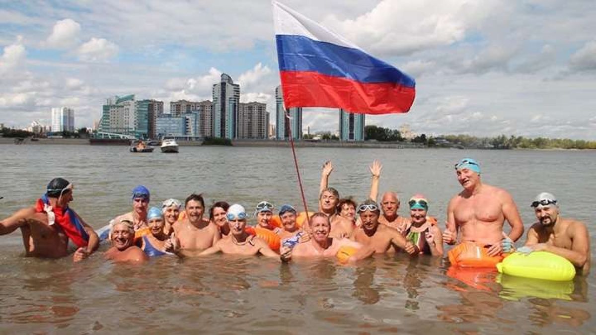 Моржи