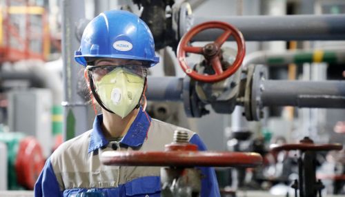 Алтай-Кокс повышает профессиональное мастерство работников