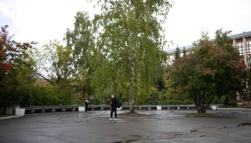 Алтайский вуз выиграл тендер по озеленению Барнаула за 2 млн рублей