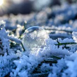 До -25 градусов и метели: Алтайский край ждет морозный удар