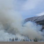 Почти 250 городам и селам Алтая угрожают лесные пожары в этом сезоне
