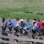 В Алтайском крае летом откроют 54 детских загородных лагеря