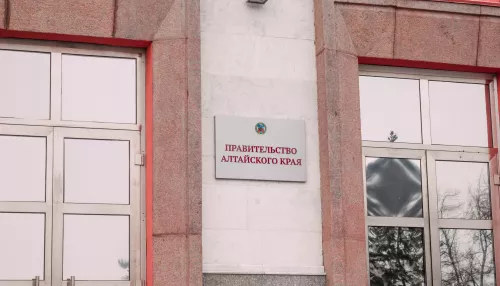 Министры Алтайского края отчитались о доходах за год