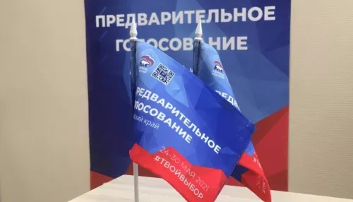 Более 20 тысяч избирателей Алтайского края уже поучаствовали в праймериз ЕР