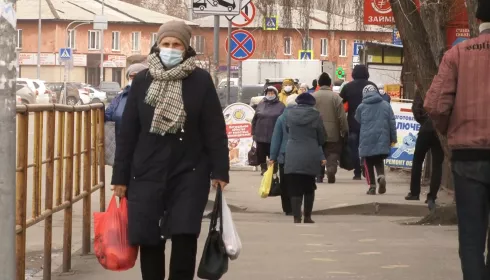 Это не обязательно, но к вам придут: как пройдет перепись населения на Алтае