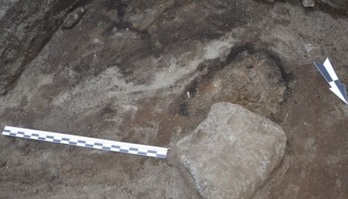 Алтайские археологи нашли уникальные артефакты на месте аварийного поселения