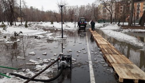 В барнаульском парке Изумрудный подтопило велодорожку