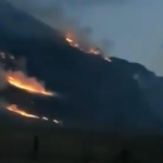 Лесные пожары полыхают в курортной зоне Республики Алтай
