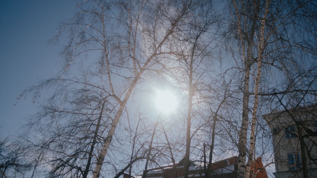 Зима сейчас в ярославле. Снег в москве. Ярославль в марте фото. Глобальное потепление в россии. Потеплении в европейской части россии.