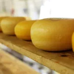 В магазинах Алтайского края резко выросла цена на сыр
