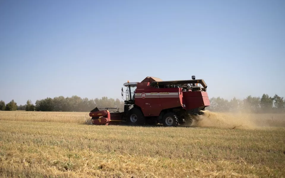 Два комбайна сгорели в Алтайском крае в разгар уборочной