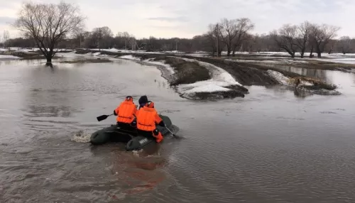 Масштабный весенний паводок подтопил улицы Камня-на-Оби