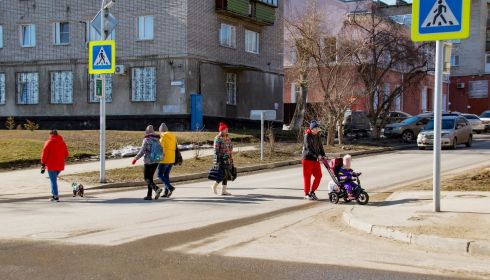На Алтае в 2020 году пешеходов сбивали в среднем каждый день