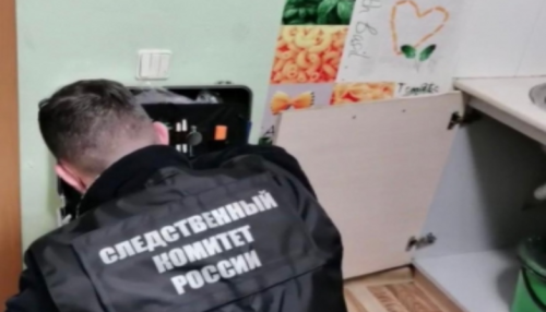 Житель Красноярска затащил ребёнка в квартиру и ранил ножом в шею