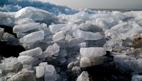 Барнаульцы заметили первые подвижки льда на реке Обь