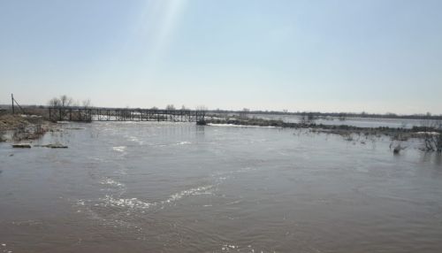 Река Алей подтапливает несколько сел в Алтайском крае