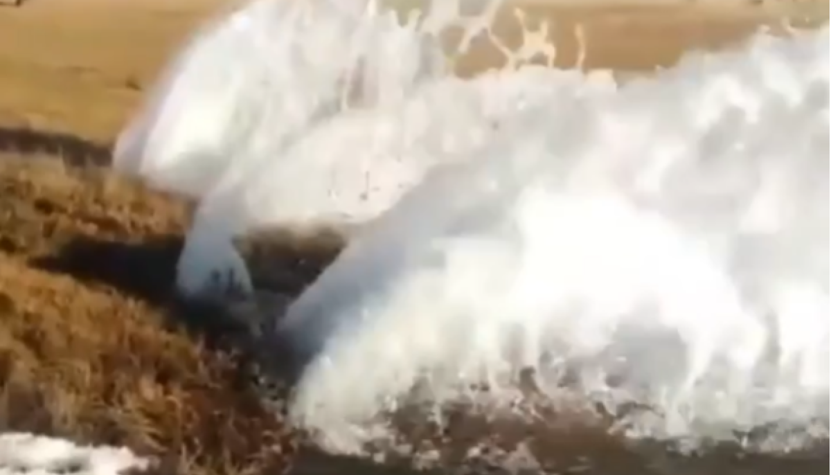 пробилась из под земли вода. однажды я в зимнюю пору. пробилась из под земли вода. пробилась из под земли вода. вода хлещет из асфальта.