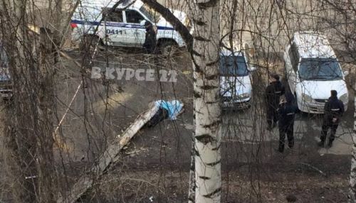 Дерево упало на мужчину во дворе дома в Барнауле