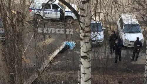 Барнаульского чиновника осудили за гибель пешехода под рухнувшим деревом
