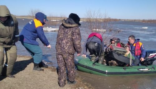 Алтайские спасатели спасли рыбаков из плена талых вод
